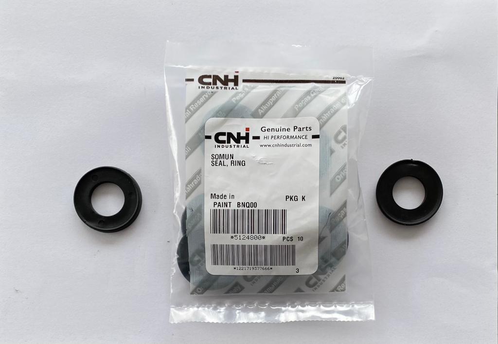 RING N GASCKET DIFF 5108657